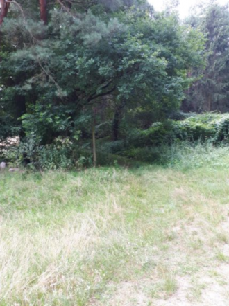 Warthe, Am Feuerwachturm