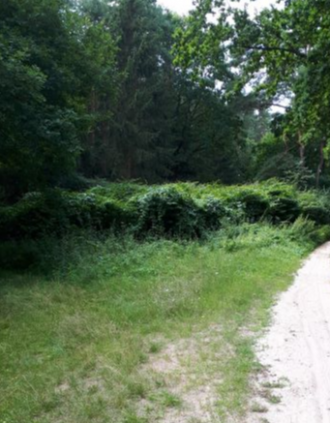 Warthe, Am Feuerwachturm