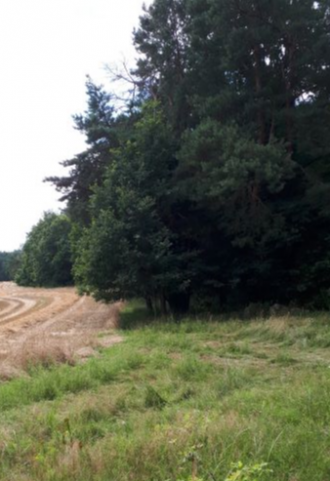 Warthe, Am Feuerwachturm