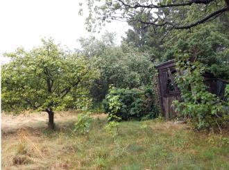 Niesky OT Kosel unbebaute gemischte Baufläche