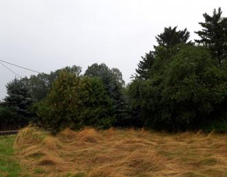 Niesky OT Kosel unbebaute gemischte Baufläche